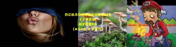 мескалин Осинники