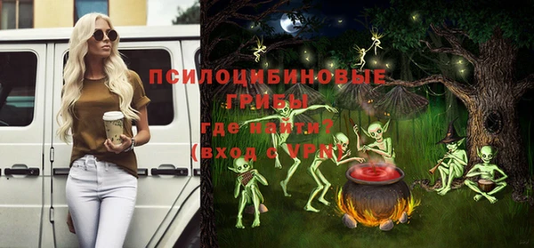 мескалин Осинники