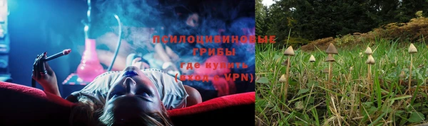 мескалин Осинники