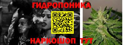 гашик Абакан