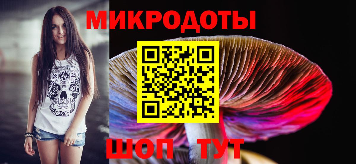 Галлюциногенные грибы Cubensis  Вход с VPN  Амурск 
