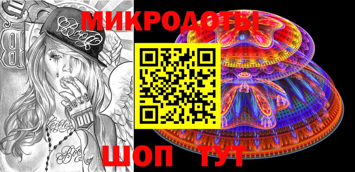 Галлюциногенные грибы Psilocybe Амурск