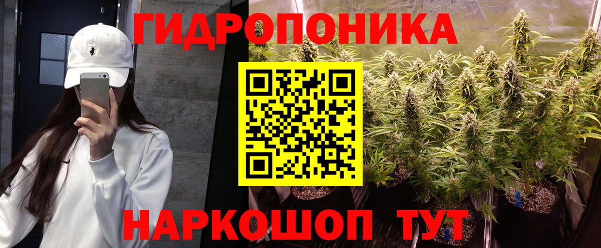 Конопля White Widow Амурск